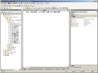 画面30：SQL文を入力する