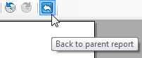 Back to Parent Report button