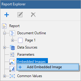 Embedding an image into a report