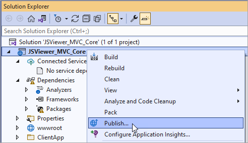 Visual Studio Solution Explorer Publish Option