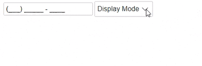Setting display mode in Masked TextBox