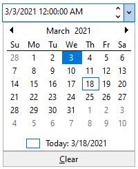 DateEdit with calendar UI showing specific date