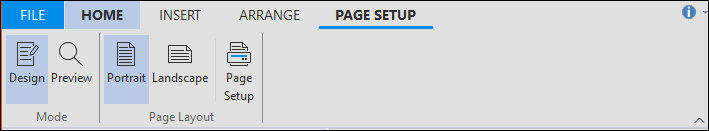 The image displays the Page Setup Tab.