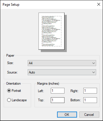The image displays the Page Setup dialog box
