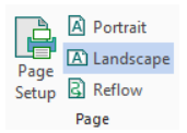 Displays the Page group in the print preview ribbon.