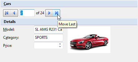 A simple form to display the car details using InputPanel