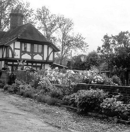 Image of the house after applying grayscale effect