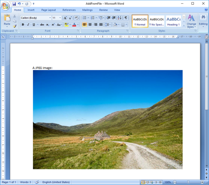 Image in a Word document