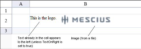 Image Cell Type Example