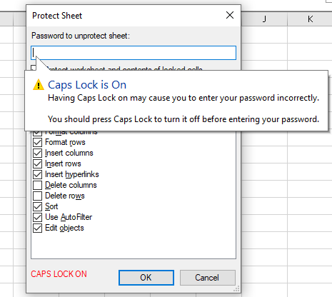 protectWS-capslock