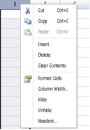 Shortcut menu for selected column header in the spreadsheet